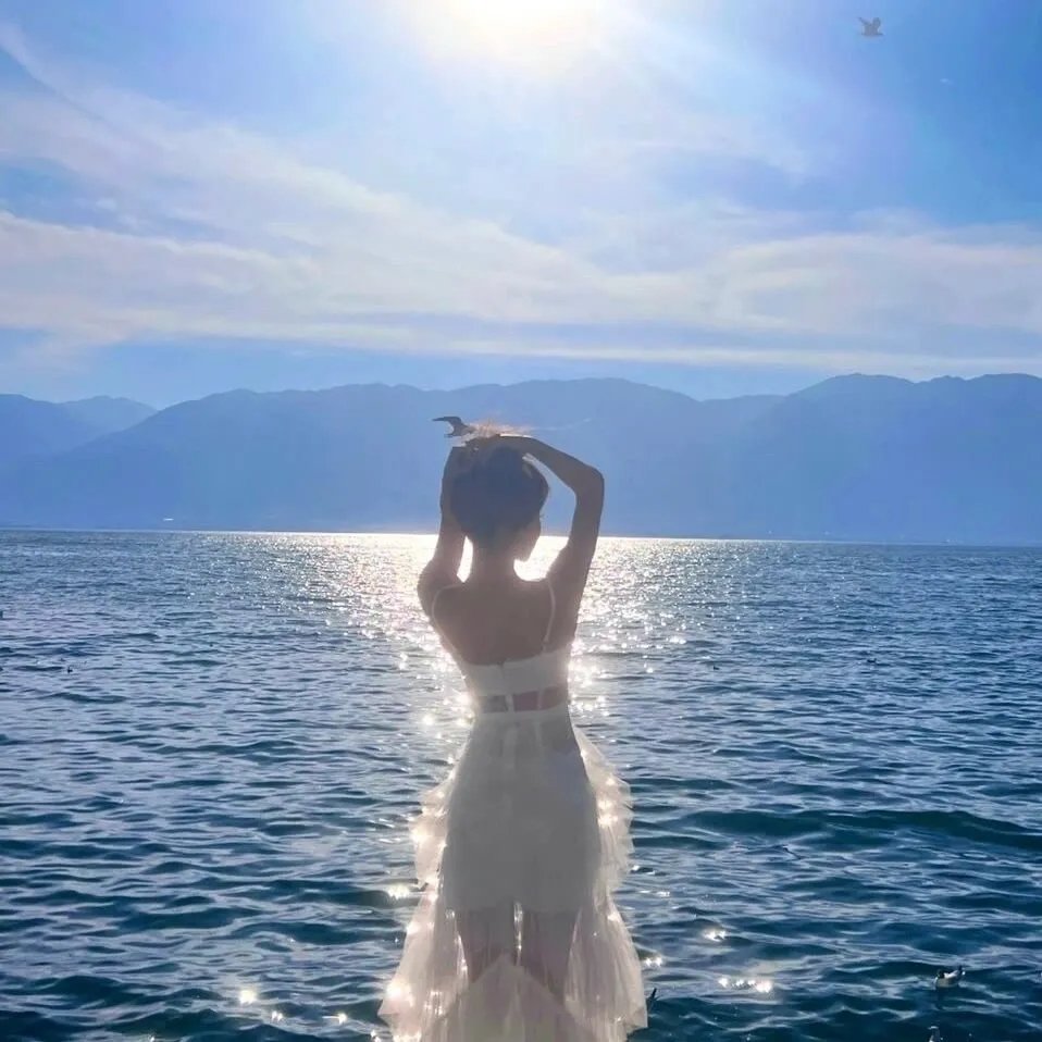 萌犬流浪记